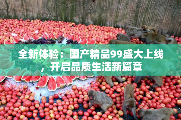 全新体验：国产精品99盛大上线，开启品质生活新篇章