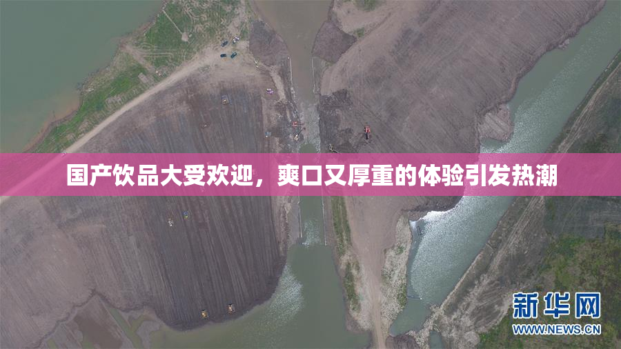国产饮品大受欢迎，爽口又厚重的体验引发热潮