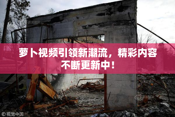 萝卜视频引领新潮流，精彩内容不断更新中！