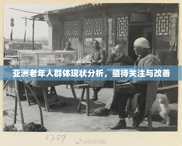 亚洲老年人群体现状分析，亟待关注与改善