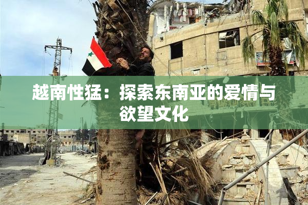 越南性猛：探索东南亚的爱情与欲望文化