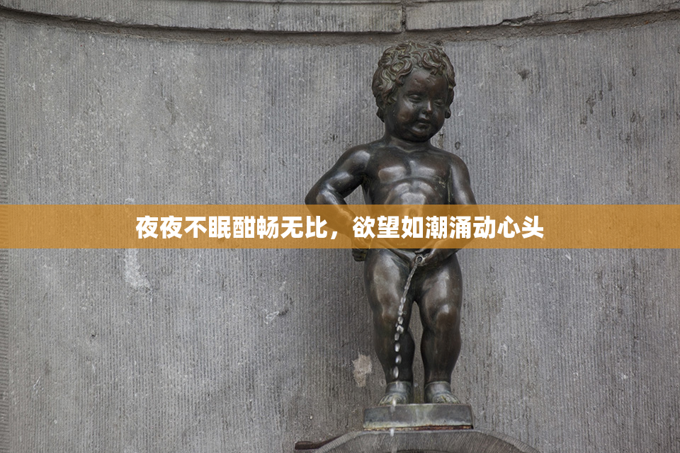 夜夜不眠酣畅无比，欲望如潮涌动心头