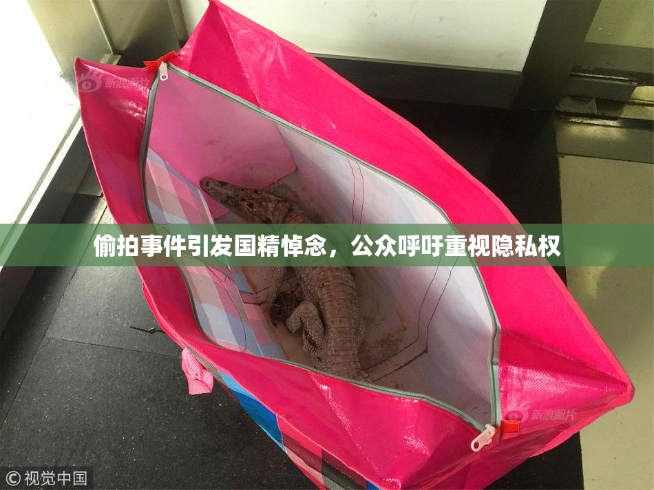偷拍事件引发国精悼念，公众呼吁重视隐私权