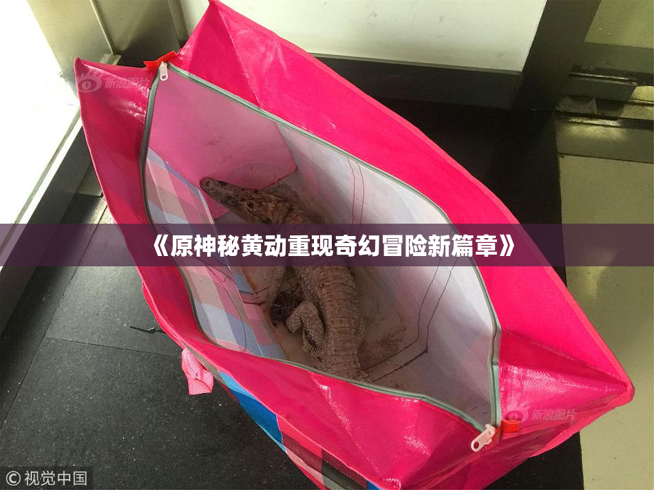《原神秘黄动重现奇幻冒险新篇章》