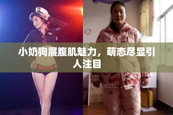 小奶狗展腹肌魅力，萌态尽显引人注目