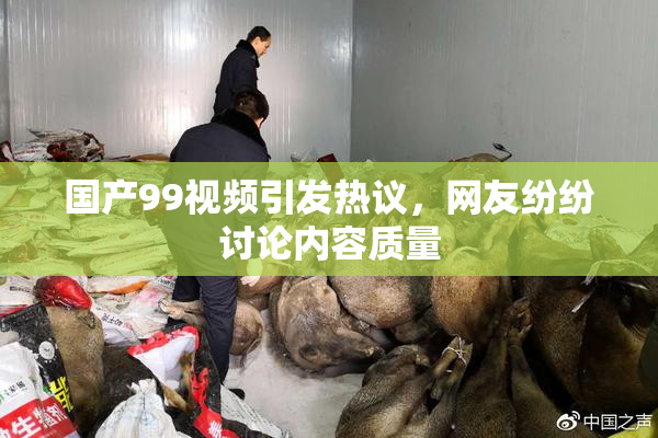国产99视频引发热议，网友纷纷讨论内容质量