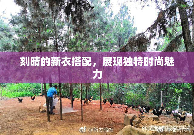 刻晴的新衣搭配，展现独特时尚魅力