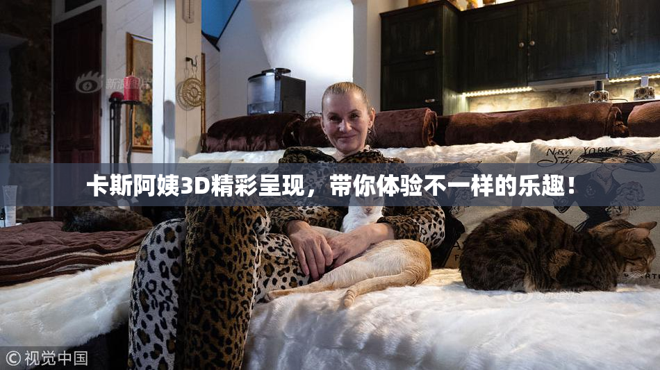 卡斯阿姨3D精彩呈现，带你体验不一样的乐趣！