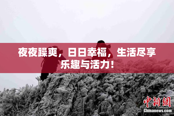 夜夜躁爽，日日幸福，生活尽享乐趣与活力！