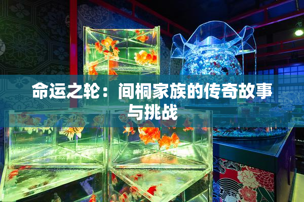 命运之轮：间桐家族的传奇故事与挑战