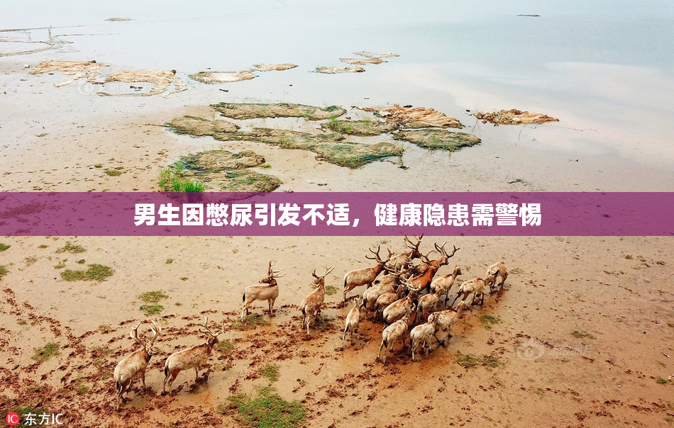 男生因憋尿引发不适，健康隐患需警惕