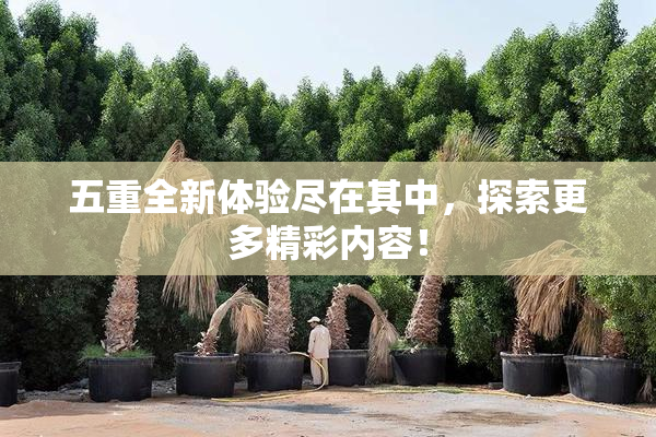 五重全新体验尽在其中，探索更多精彩内容！