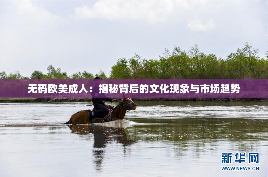 无码欧美成人：揭秘背后的文化现象与市场趋势