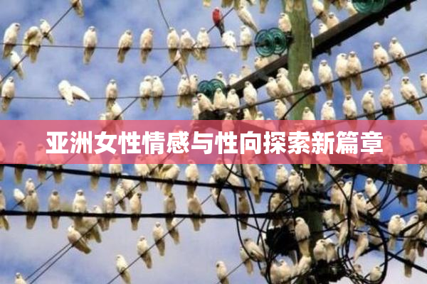 亚洲女性情感与性向探索新篇章