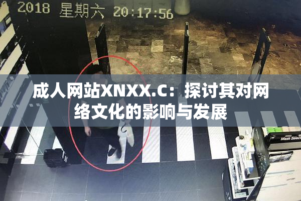 成人网站XNXX.C：探讨其对网络文化的影响与发展