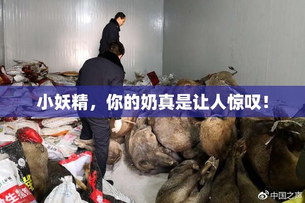 小妖精，你的奶真是让人惊叹！