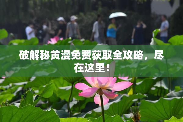破解秘黄漫免费获取全攻略，尽在这里！