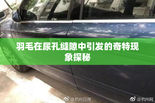 羽毛在尿孔缝隙中引发的奇特现象探秘