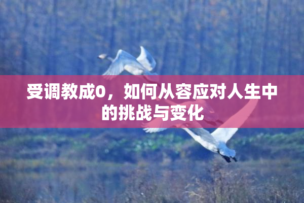 受调教成0，如何从容应对人生中的挑战与变化