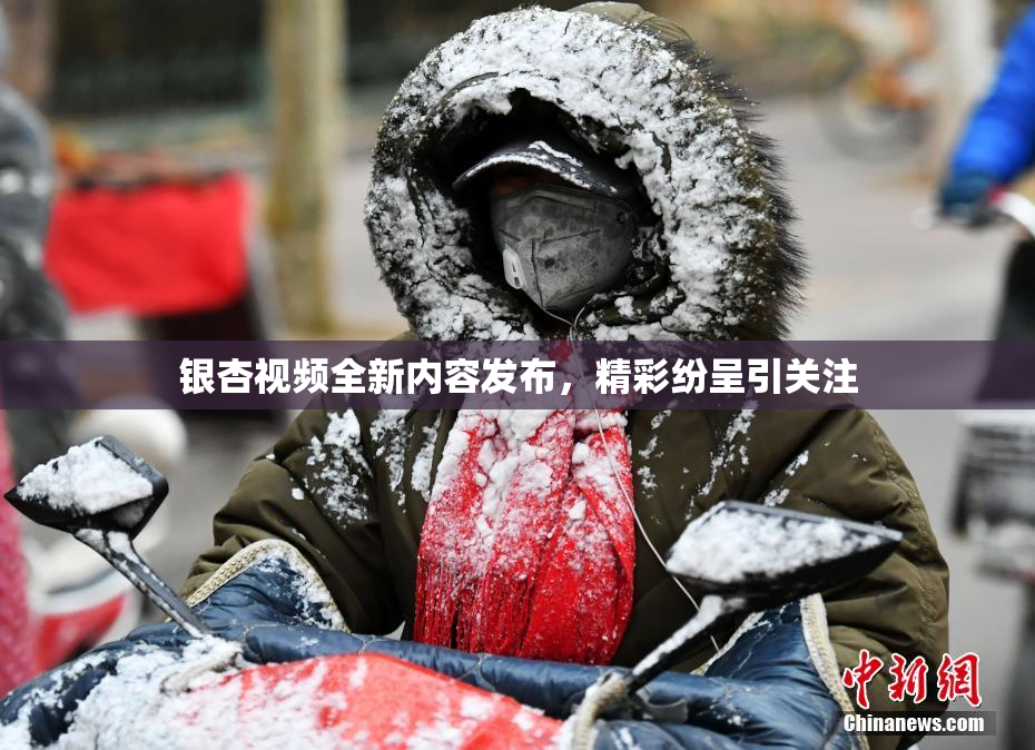 银杏视频全新内容发布，精彩纷呈引关注