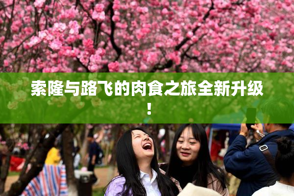 索隆与路飞的肉食之旅全新升级！