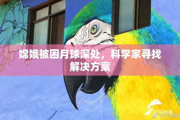 嫦娥被困月球深处，科学家寻找解决方案