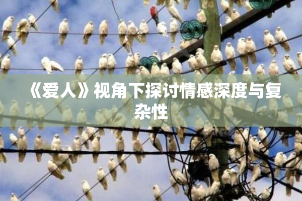 《爱人》视角下探讨情感深度与复杂性