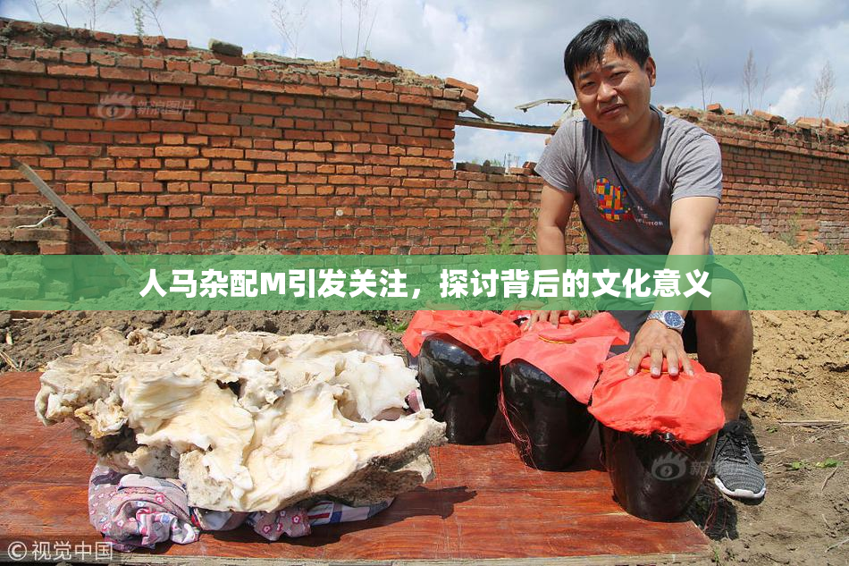 人马杂配M引发关注，探讨背后的文化意义