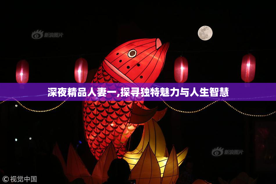 深夜精品人妻一,探寻独特魅力与人生智慧