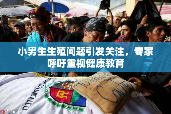 小男生生殖问题引发关注，专家呼吁重视健康教育