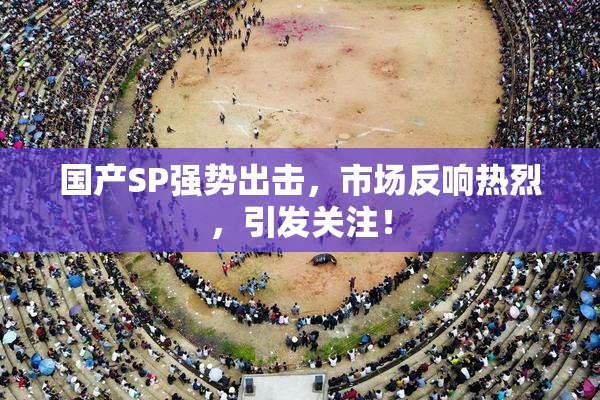 国产SP强势出击，市场反响热烈，引发关注！