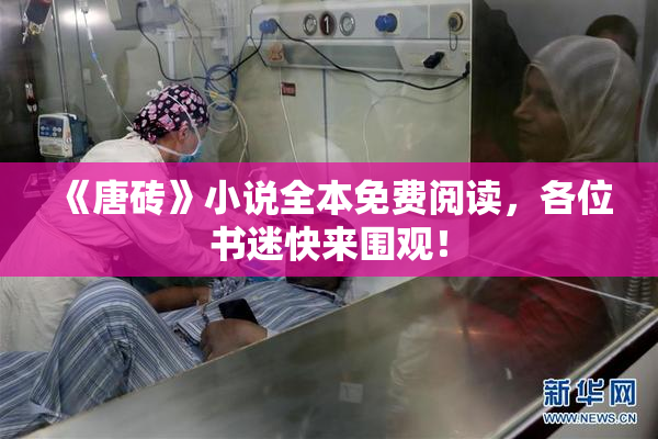 《唐砖》小说全本免费阅读，各位书迷快来围观！