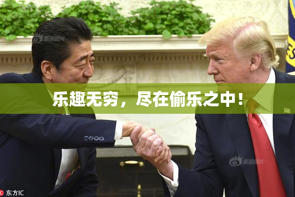 乐趣无穷，尽在偷乐之中！