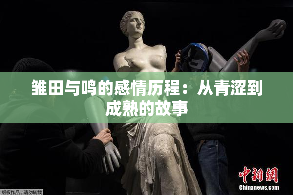 雏田与鸣的感情历程：从青涩到成熟的故事