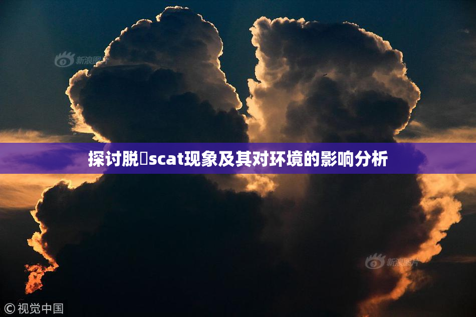 探讨脱糞scat现象及其对环境的影响分析