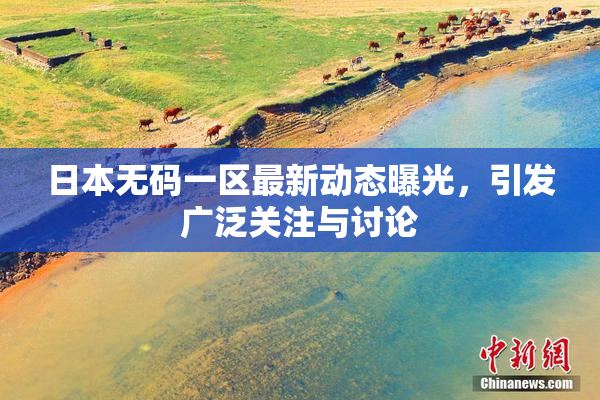 日本无码一区最新动态曝光，引发广泛关注与讨论