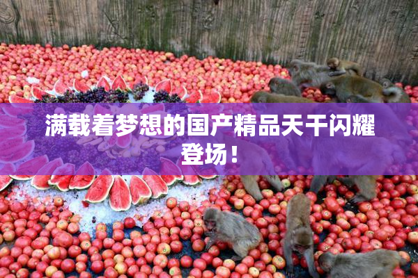 满载着梦想的国产精品天干闪耀登场！
