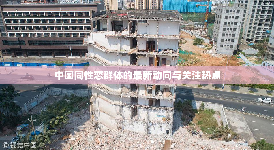 中国同性恋群体的最新动向与关注热点
