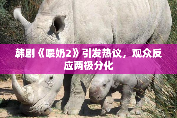 韩剧《喂奶2》引发热议，观众反应两极分化