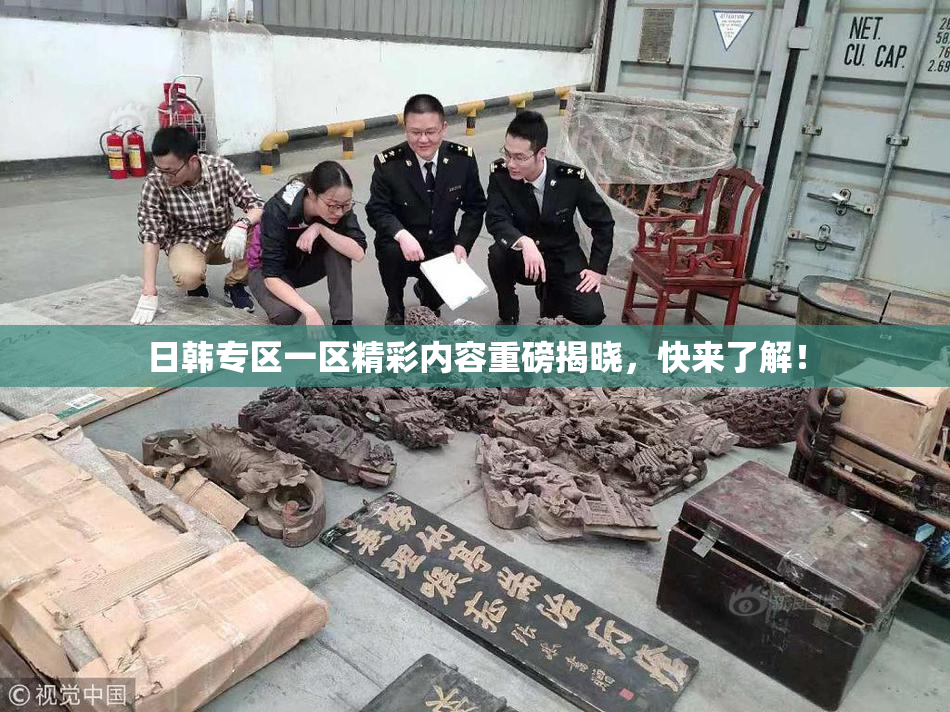 日韩专区一区精彩内容重磅揭晓，快来了解！