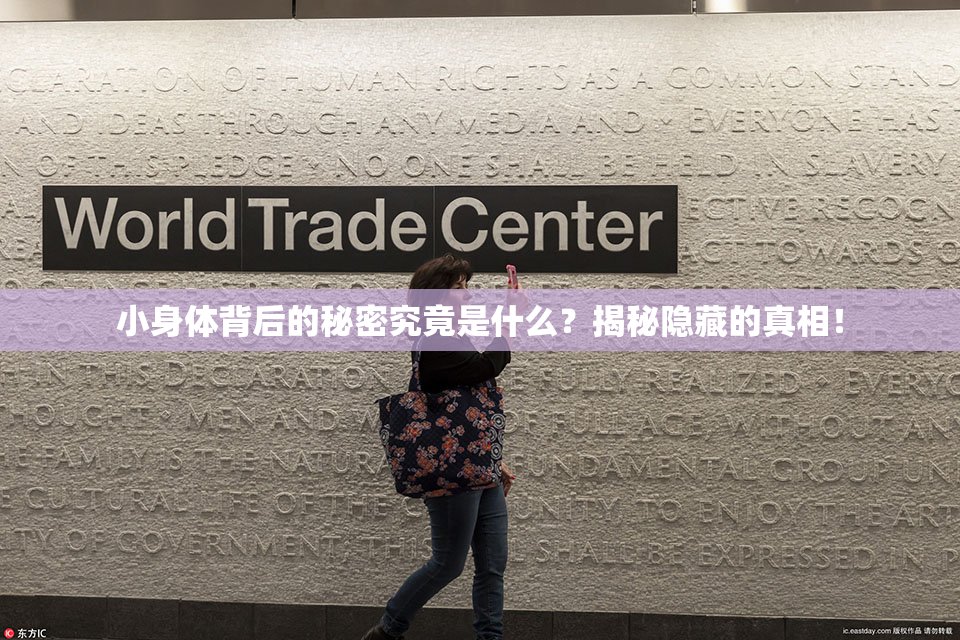 小身体背后的秘密究竟是什么？揭秘隐藏的真相！