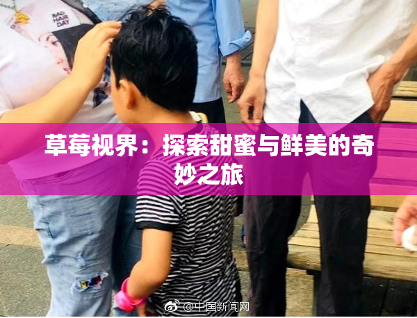 草莓视界：探索甜蜜与鲜美的奇妙之旅