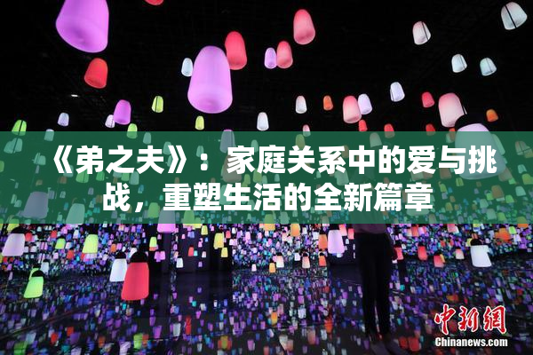《弟之夫》：家庭关系中的爱与挑战，重塑生活的全新篇章