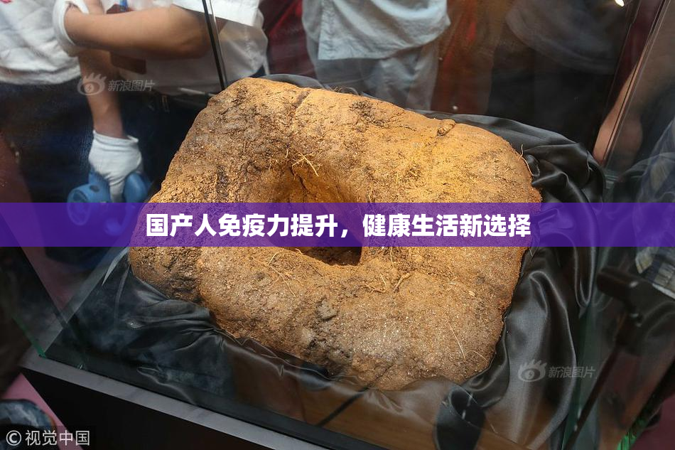 国产人免疫力提升，健康生活新选择