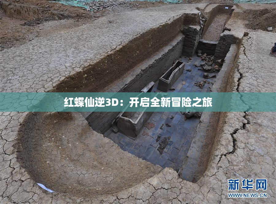 红蝶仙逆3D：开启全新冒险之旅