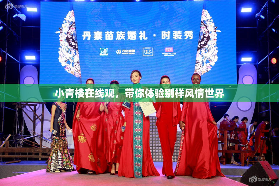 小青楼在线观，带你体验别样风情世界