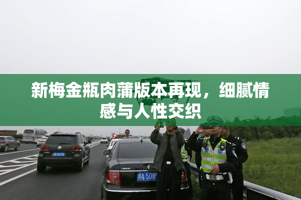新梅金瓶肉蒲版本再现，细腻情感与人性交织