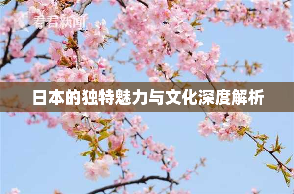 日本的独特魅力与文化深度解析