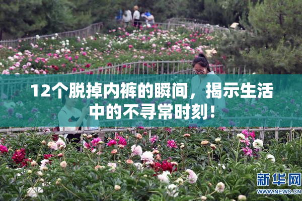12个脱掉内裤的瞬间，揭示生活中的不寻常时刻！