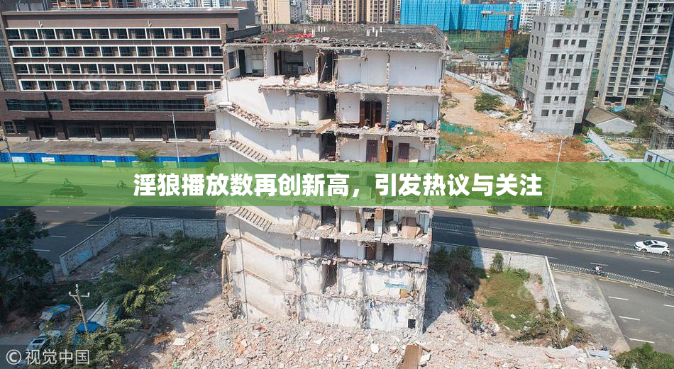 淫狼播放数再创新高，引发热议与关注